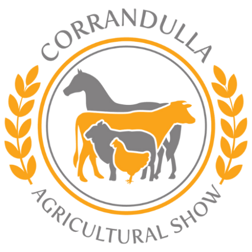 website logo